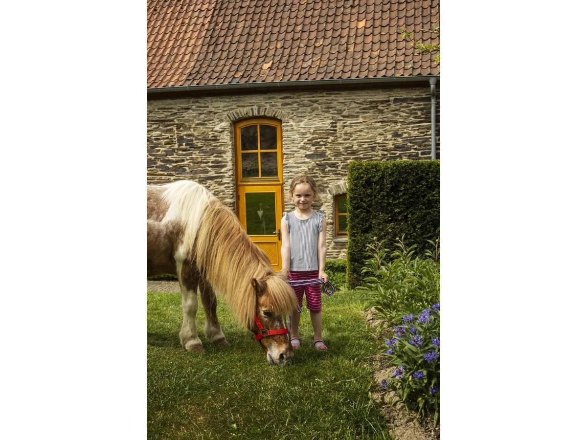 Gut Frielinghausen Daire Meschede Dış mekan fotoğraf