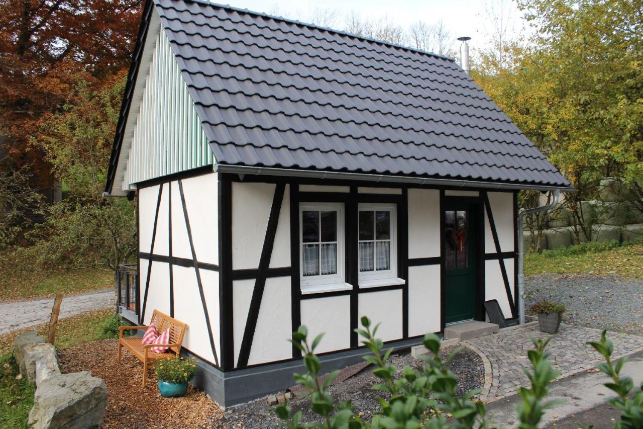 Gut Frielinghausen Daire Meschede Dış mekan fotoğraf